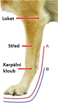 Snímek obrazovky 2023-02-16 173459